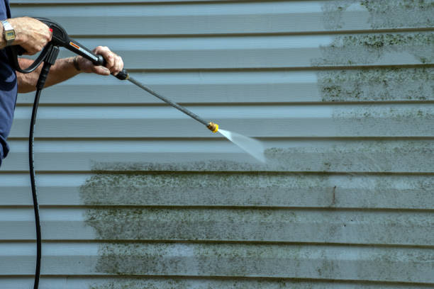 Boat and Dock Cleaning in Westernport, MD